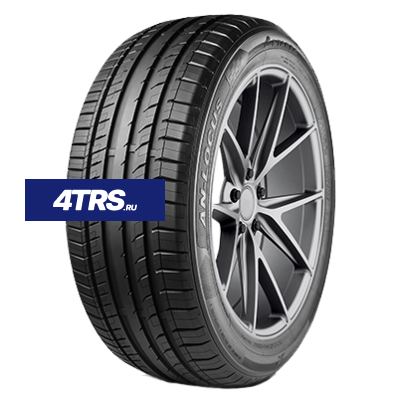 Antares 275/35ZR19 100W Ingens-Locus TL M+S фото 1