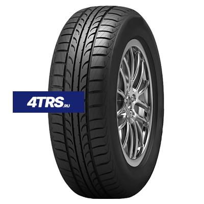 Tunga 175/65R14 86T Zodiak 2 PS-7 TL фото 1