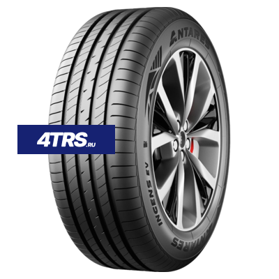 Antares 215/50R17 95V XL Ingens EV TL фото 1