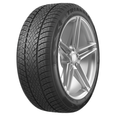 Triangle 205/55R19 97V XL WinterX TW401 TL фото 1